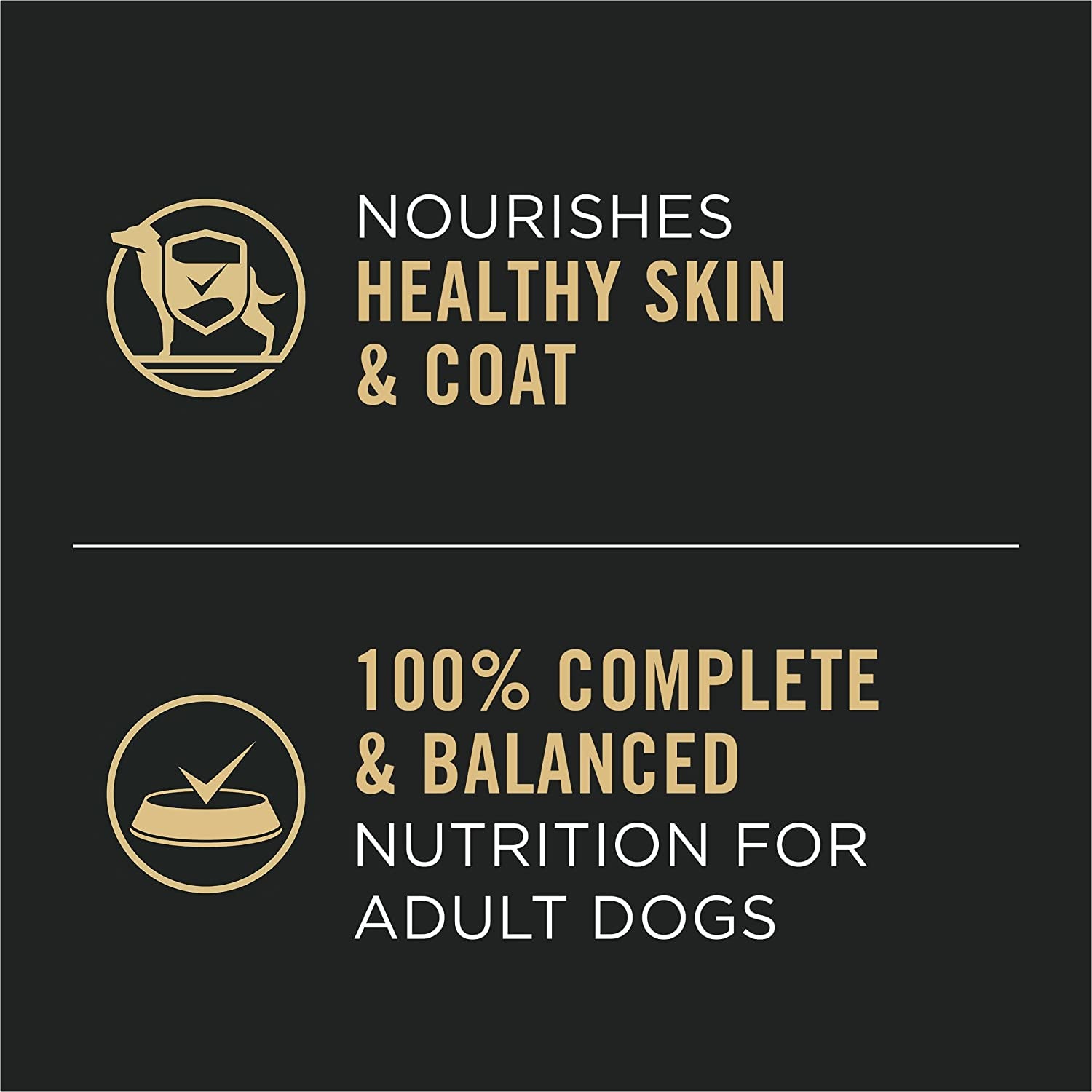 High Protein, Gravy Adult Wet Dog Food - (12) 13 Oz. Cans